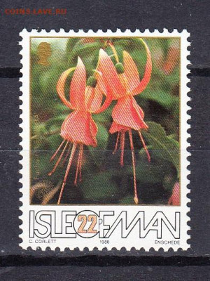 МЭН 1988 цветы 1м 22п по фиксу до 30 04 - 163