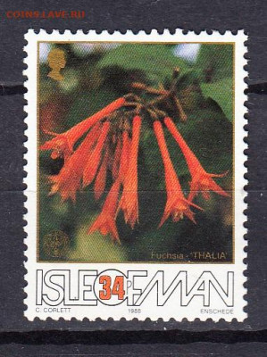 МЭН 1988 цветы 1м 34п по фиксу до 30 04 - 165
