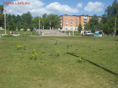 N-CoV(CoronaVirus) КоронаВирус.Последние новости - DSC00643.JPG