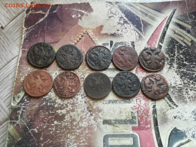 10 полушек 1731-1749 до 28.04.2020 - 10пол (2) - копия