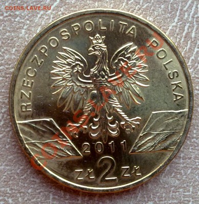 Польша 2злот 2011 Барсук до 21.00 05.09 - барсук-2