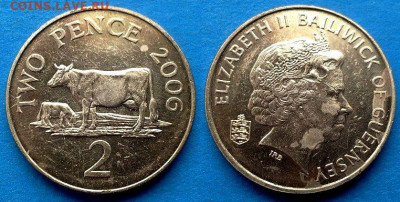Гернси - 2 пенса 2006 года (Фауна) до 2.05 - Гернси 2 пенса, 2006