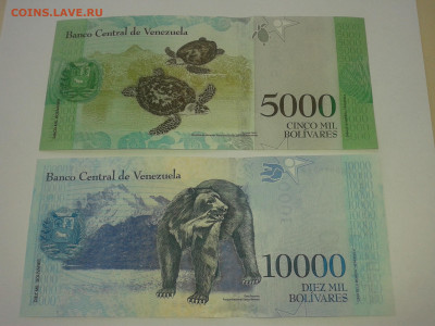 Венесуэлла 5000 боливаров и 10000 боливаров, 2 штуки - 20200217_131055