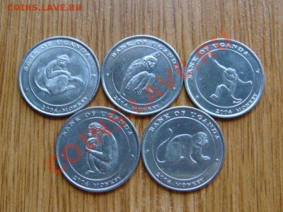 -v- Уганда 100 шиллингов 2004 Обезьяны (5шт.) за 175руб. - DSC04172.JPG