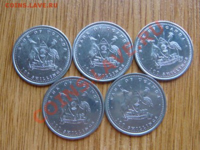 -v- Уганда 100 шиллингов 2004 Обезьяны (5шт.) за 175руб. - DSC04171.JPG