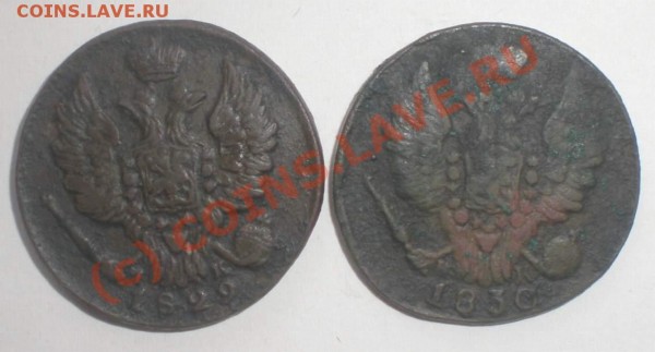 1 копейка 1829 года ЕМ ИК, 1 копейка 1830года ЕМ ИК - P5150078_thumb