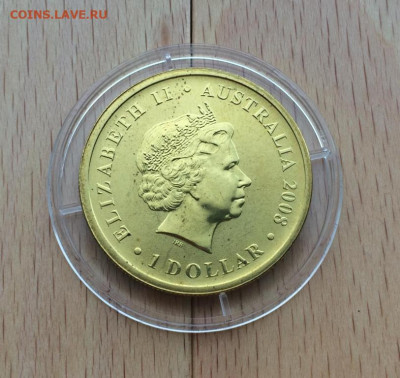 Австралия 1$ доллар 2008 Блестящий расписной малюр Животные - avstralija_1_dollar_2008_blestjashchij_raspisnoj_maljur_zhivotnye_fauna_pticy (1)