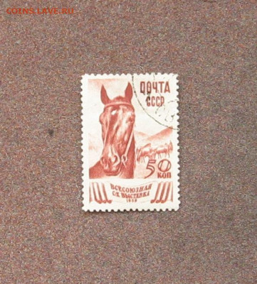 СССР.ВСХВ. 1939 - IMG_0028.JPG