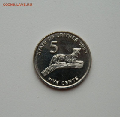 Эритрея 5 центов 1997 г.(Фауна) до 04.05.20 - DSCN9952.JPG