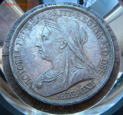 1 крона 1893 - Великобритания - 093.JPG