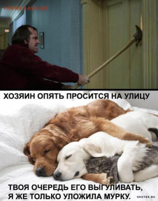 юмор - 0 a 31vtr55