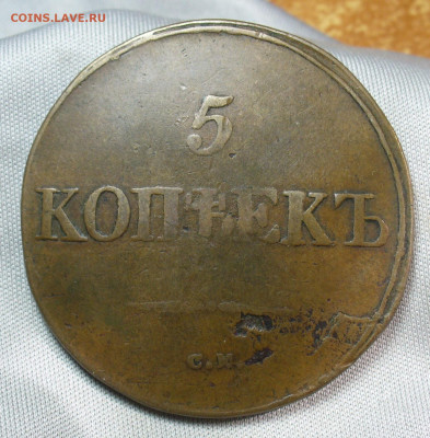 5 копеек 1831 года СМ Жёлтый  До 05.05.20 в 22.00 МСК - P1550355.JPG