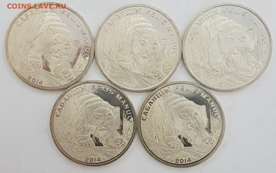 5 ШТУК Казахстан Манул с 200р до 06.05.2020 в 22.00 - манул