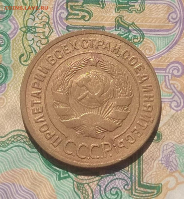 3 копейки 1929 года. Оценка. - IMG_20200503_154714