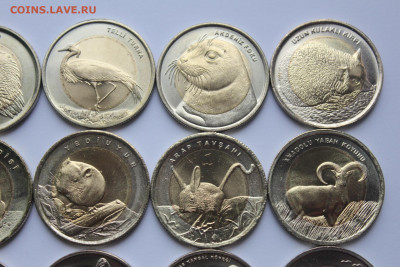 Турция 1 лира 2009-2016 набор Красная книга UNC до 07.05 - IMG_0081.JPG