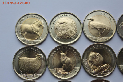 Турция 1 лира 2009-2016 набор Красная книга UNC до 07.05 - IMG_0077.JPG