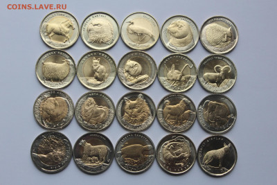 Турция 1 лира 2009-2016 набор Красная книга UNC до 07.05 - IMG_0074.JPG