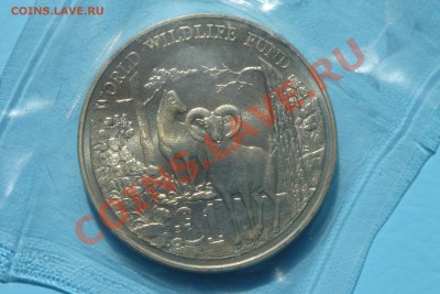 Кипр 1 фунт 86г (фауна) (до 5.09 в 22.00) - DSC00105.JPG