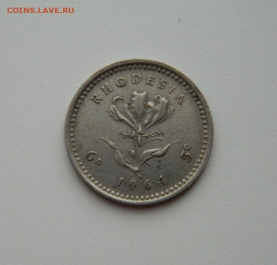 Британская Родезия 6 пенсов 1964 г. до 07.05.20 - DSCN0046.JPG