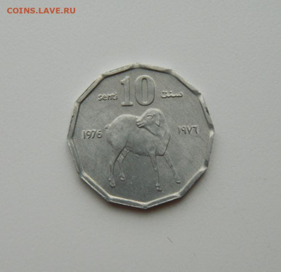 Сомали 10 центов 1976 г. (Фауна)без обращения  до 07.05.20 - DSCN0003.JPG