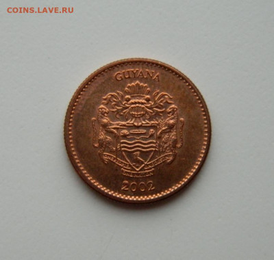 Гайана 1 доллар 2002 г. (без обращения). до 07.05.20 - DSCN0017.JPG