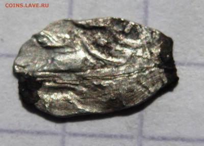1. - P5050044.JPG