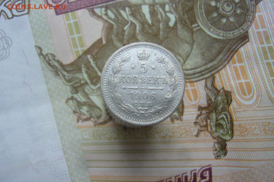 5 копеек 1906 - 10-05-20 - 23-10 мск - P2240931.JPG