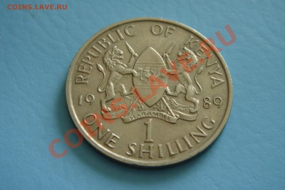 Кения 1шиллинг 89 г(до 3.09 в 22.00) - DSC00080.JPG