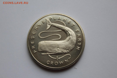 Гибралтар 1 крона 1995 Кашалот до 08.05 в 21-00 - IMG_0561.JPG