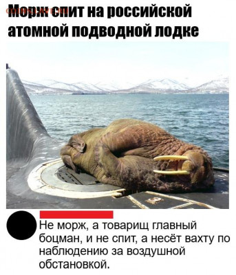 юмор - QPSssY0qDD4