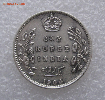 Индия - Британская. Король Эдуард VII. 1 РУПИЯ 1904 года - 1рп1904 (3).JPG