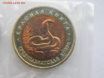 10 р.Кобра.1992г.Красная книга.до 12.05.2020 в 22:00. - DSCN9595.JPG