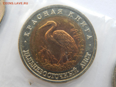 50р.Аист.1993г.Красная книга.до 12.05.2020 в 22:00. - DSCN9602.JPG