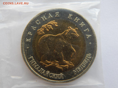 50р.Медведь.1993г.Красная книга.до 12.05.2020 в 22:00. - DSCN9604.JPG