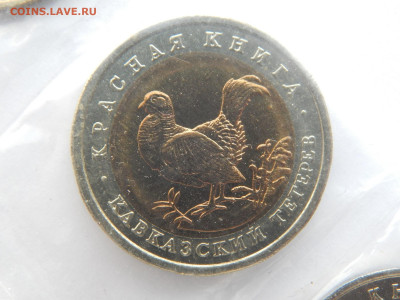 50р.Тетерев.1993г.Красная книга.до 12.05.2020 в 22:00. - DSCN9606.JPG