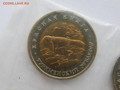 50р.Зублефар.1993г..Красная книга.до 12.05.2020 в 22:00. - DSCN9608.JPG