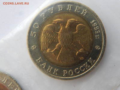 50р.Зублефар.1993г..Красная книга.до 12.05.2020 в 22:00. - DSCN9609.JPG