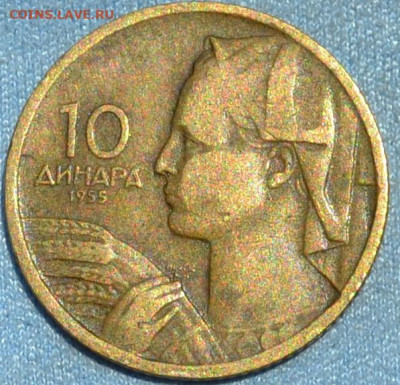 Югославия 10 динар 1955. 10. 05. 2020 в 22 - 00. - DSC_0733.JPG
