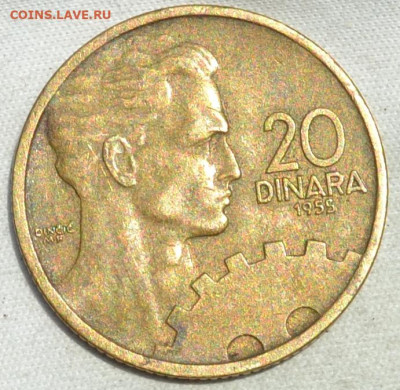 Югославия 20 динар 1955. 10. 05. 2020. в 22 - 00. - DSC_0740.JPG