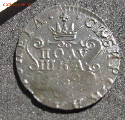 Полушка 1769 Сибирская до 12.05.20 20:00 МСК - IMG_3453.JPG