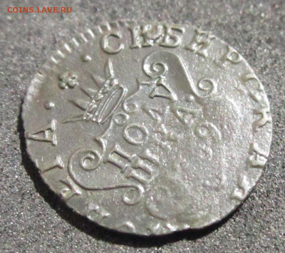 Полушка 1769 Сибирская до 12.05.20 20:00 МСК - IMG_3454.JPG