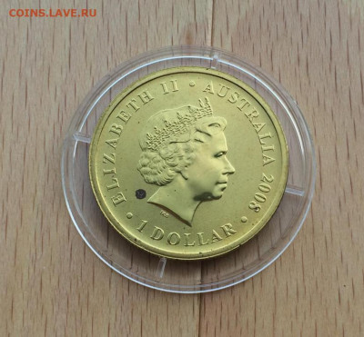 Австралия 1$ доллар 2008 Австралийский морской лев Животные - avstralija_1_dollar_2008_avstralijskij_morskoj_lev_zhivotnye_fauna (1)