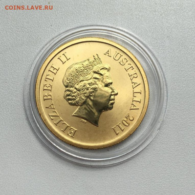 Австралия 1$ доллар 2011 Лирохвост Птица-Лира фауна - avstralija_1_dollar_2011_lirokhvost_ptica_lira_tropicheskie_lesa_gondvany_zhivotnye_fauna_ptica_emal (1)
