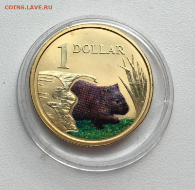 Австралия 1$ доллар 2008 Вомбат Животные Фауна эмаль - avstralija_1_dollar_2008_vombat_zhivotnye_fauna_emal