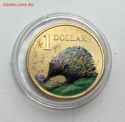 Австралия 1$ доллар 2008 Австралийская ехидна Животные Фауна - avstralija_1_dollar_2008_avstralijskaja_ekhidna_zhivotnye_fauna_emal
