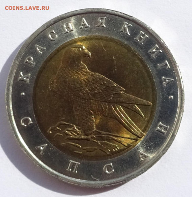 50р 1994 г Красная книга Сапсан до 22-00 11.05.2020 - Сапсан.JPG