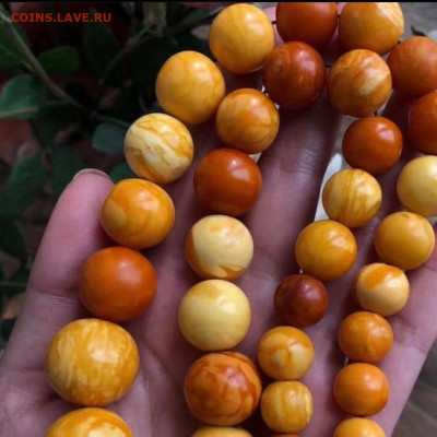 Куплю Янтарь ,Коралл,Будды Бронза,Зуб Кашалота,Бакелит,Иконы - IMG-20191111-WA0110