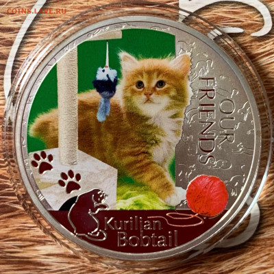 Кошки на монетах - DFYFdgozjwk