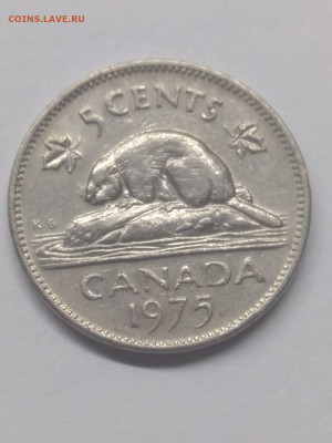Канада. 1975. 5 центов. Бобр. VF+ до 17.05 в 22.00 - 1074476598