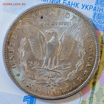 Доллары Моргана США 1984-О, 1985-О, 1921. Оценка - KONZ6399